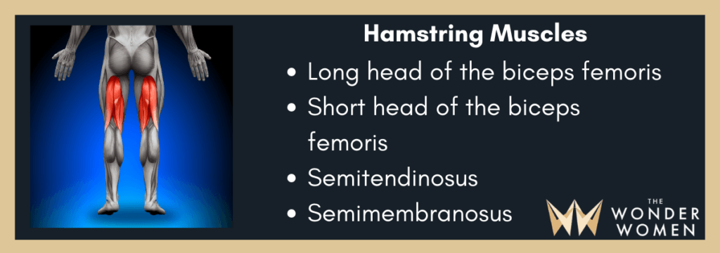 hamstring training