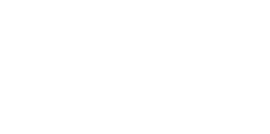 zoomer logo